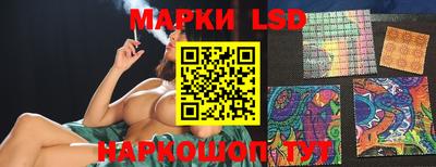 гидропоника Ипатово