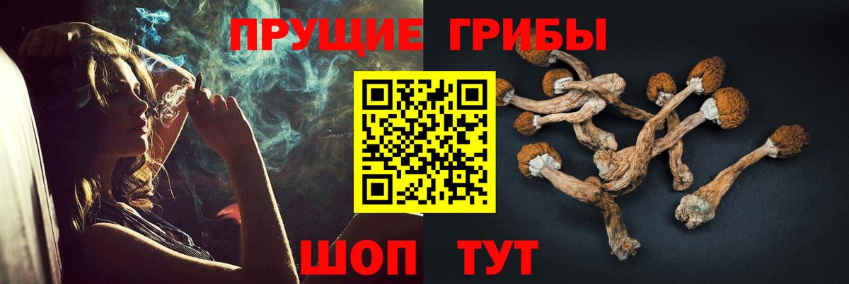 Галлюциногенные грибы мухоморы Чехов